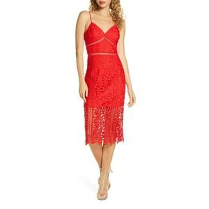 Bardot  Roxy Lace Party Midi Cocktail Dress